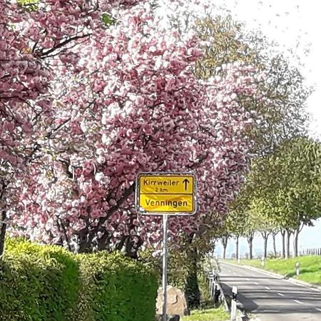 Gaestehaus Lifestyle Kirrweiler  Eksteriør billede